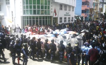 An All-Out Assault on Democracy