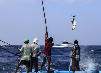 Fish Purchasing Price Reduced Despite Campaign Pledge