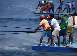 MIFCO struggles to clear MVR 9 Million owed to fishermen